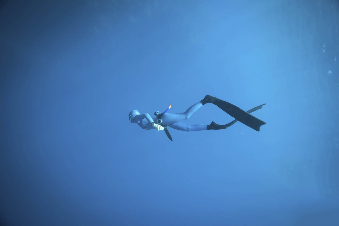Freediver land sml