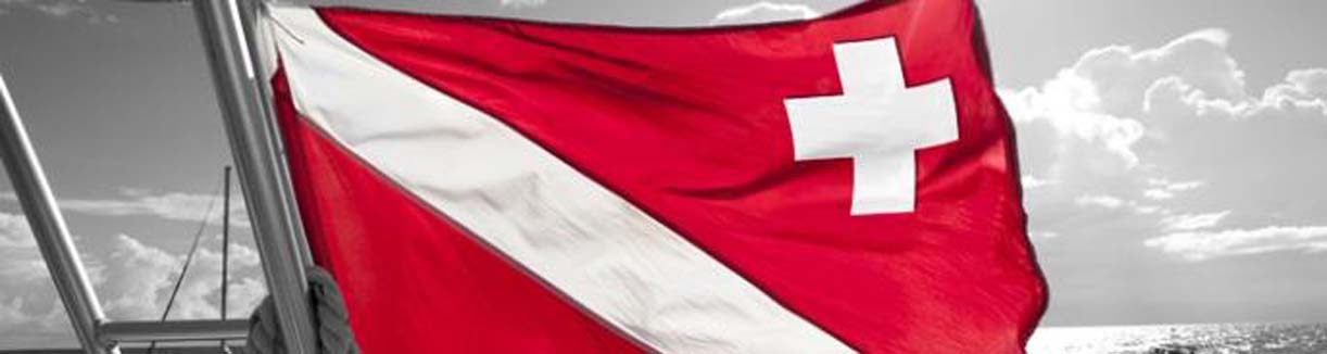 Dan banner