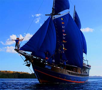 Moana cruising