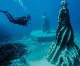 MOUA Ocean Sentinel feature