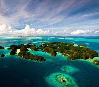 Palau Scuba Diving Resorts & Liveaboards offer a Holy Grail of scuba diving: Palau's waters are highly nutritious attracting mantas, snappers, sharks & more