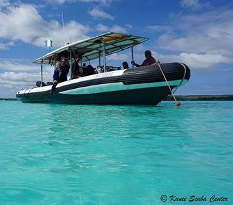 Kunie Scuba Center is the only dive centre on the Isle of Pines. Their experienced staff provide a diving service to the island’s many dive sites.