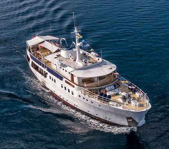 Pelagian liveaboard wakatobi, one of the premier dive liveaboards in the Southeast Asia/South Pacific region