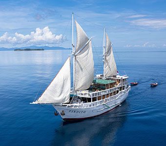 14 pindito liveaboard komodo raja ampat indonesia external feature340