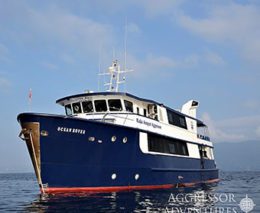 1 Raja Ampat Aggressor Liveaboard Indonesia feature