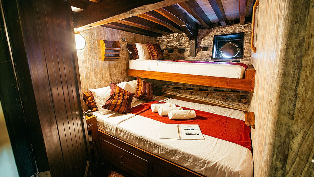 11 seven seas liveaboard indonesia lower deck double twin 11 seven seas liveaboard indonesia lower deck double twin