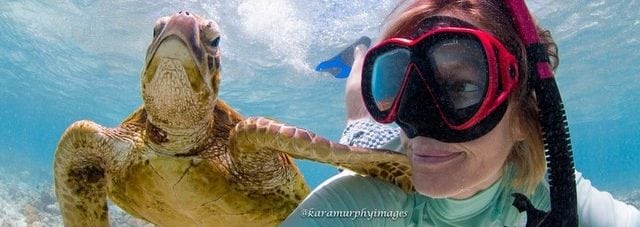 #southerngreatbarrierreef photography finalists