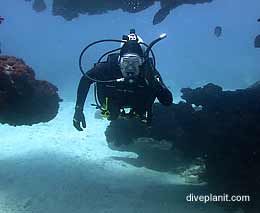 Swim through diving the arch at lord howe island feature