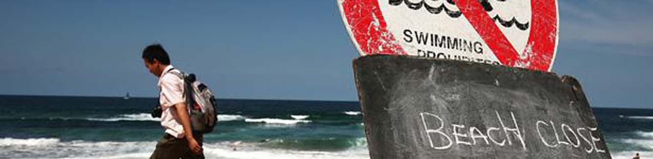 Shark attack beach banner
