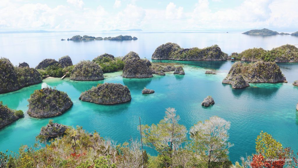 View from piaynemo diving raja ampat at raja ampat dampier strait west papua indonesia diveplanit View from Piaynemo diving Raja Ampat with Raja Ampat Dive Resort at Raja Ampat Dampier Strait West Papua Indonesia by Diveplanit