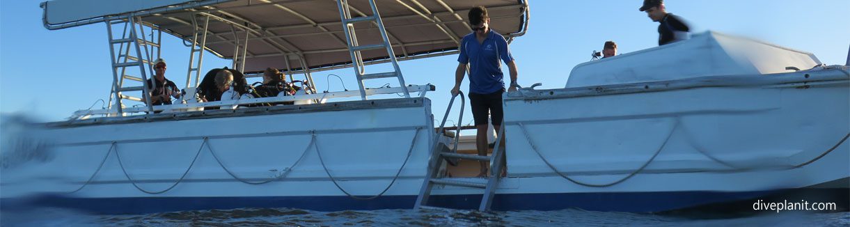 Hope they did their dive planning