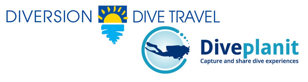 Ddt logos banner