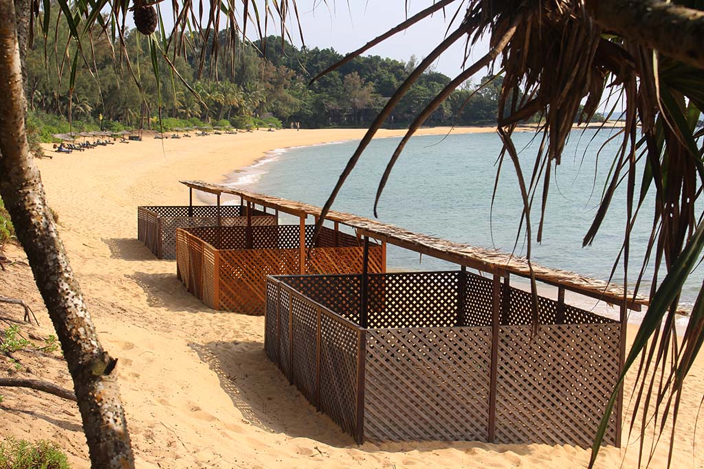 02 Lang Tengah Turtle Watch Three Current Hatcheries Outside the Nelayan Restaurant