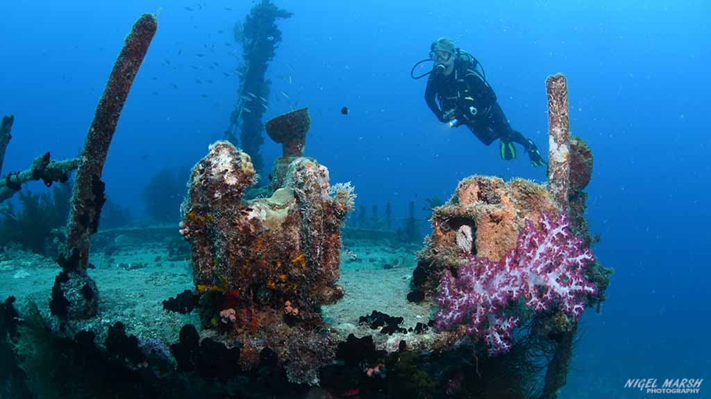 Reef of Beqa Lagoon, Fiji