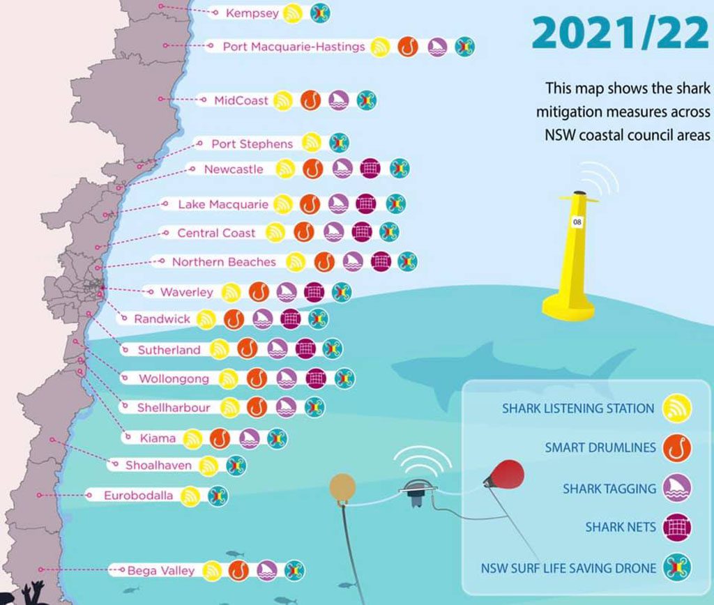 Saving norman: a new campaign aims to protect bondi’s grey nurse shark population Saving norman: a new campaign aims to protect bondi’s grey nurse shark population