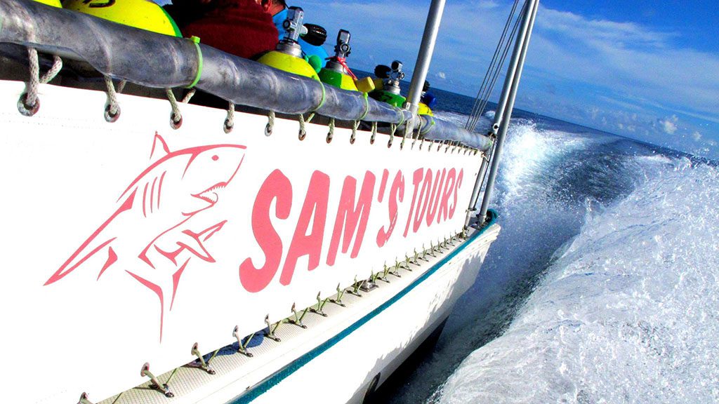 Sam’s tours: get your buddy 35% off!