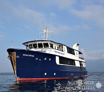 1 Raja Ampat Aggressor Liveaboard Indonesia feature