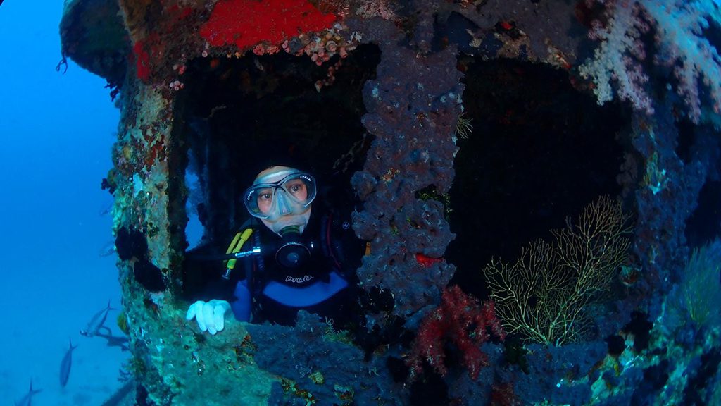 Annette smart diving beqa lagoon wreck Annette smart diving beqa lagoon wreck