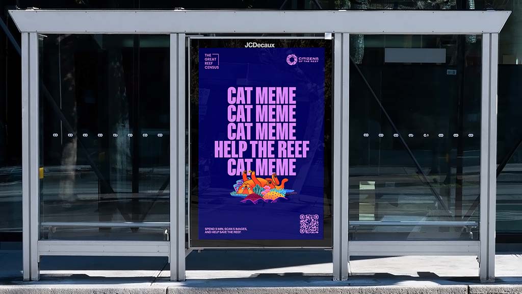 Great reef census campaign cat meme 2025