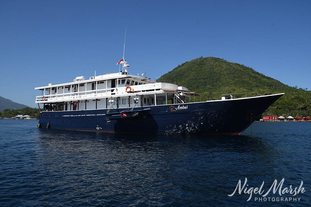 Dive halmahera ambai nigel marsh hero