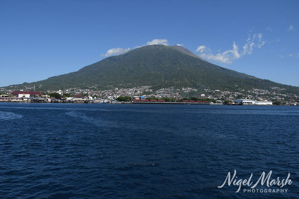 Dive halmahera ambai nigel marsh ternate